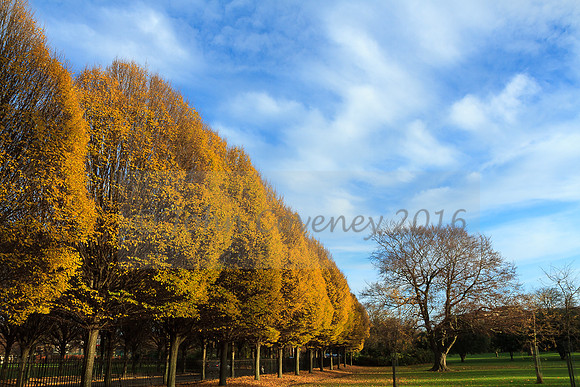 032-Irish-Landscapes-©JCoveney