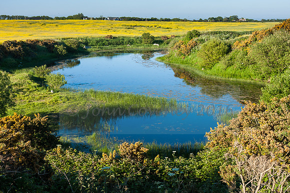 021-Irish-Landscapes-©JCoveney