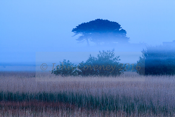 022-Irish-Landscapes-©JCoveney