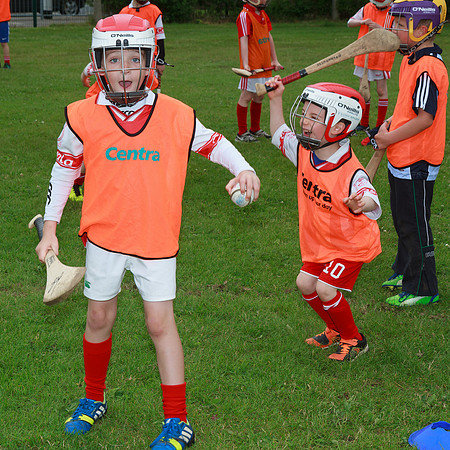 035-Cuala-Skills-Jun14-©JCoveney